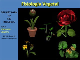 Fisiologia Vegetal
Departamen
     to
     de
  Biologia
Tema:
Fisiologia
Vegetal
  Prof. Paulo
paulobhz@hotmail.com
 