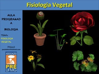 Aula
Programad
a
Biologia
Tema:
Fisiologia
Vegetal
Paulo
paulobhz@hotmail.com
Fisiologia VegetalFisiologia Vegetal
 