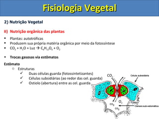2) Nutrição Vegetal Nutrição orgânica das plantas Plantas: autotróficas Produzem sua própria matéria orgânica por meio da fotossíntese CO 2  + H 2 O + Luz    C 6 H 12 O 6  + O 2 Trocas gasosas via estômatos Estômato Estruturas Duas células guarda (fotossintetizantes) Células subsidiárias (ao redor das cel. guarda) Ostiolo (abertura) entre as cel. guarda CO 2 O 2 Fisiologia Vegetal 