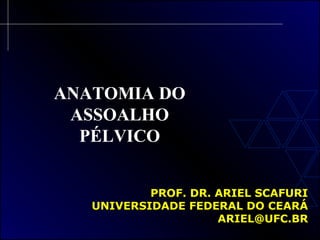 ANATOMIA DO
ASSOALHO
PÉLVICO
PROF. DR. ARIEL SCAFURIPROF. DR. ARIEL SCAFURI
UNIVERSIDADE FEDERAL DO CEARÁUNIVERSIDADE FEDERAL DO CEARÁ
ARIEL@UFC.BRARIEL@UFC.BR
 