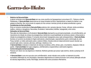 Garra-do-Diabo
 Histórico da Garra-do-Diabo
A planta conhecida como Garra-do-Diabo tem seu nome científico de Harpagophytum procumbens D.C.. Pertence a família
Pedaliaceae. A Garra-do-Diabo desenvolve-se em áreas limitadas da África, especialmente no deserto do Kalihari e nas
estepes as Namíbia. Seu nome provém do aspecto do fruto ramoso e lenhoso provido de barbas semelhantes a garras.
Constituintes da Garra-do-Diabo
Entre os inúmeros constituintes da Garra-do-Diabo podemos citar: açúcares (glucose, frutose, rafinose), ácidos aromáticos
(cafêico, cinâmico e clorogênico), flavonóides, B-sitosterol, heterosídeos (iridóides, harpagoside), entre outros.
Indicações da Garra-do-Diabo
Pela ação dos heterosídeos e do B-sitosterol, Garra-do-Diabo deempenha sua principal propriedade, a de antiinflamatória, por
mecanismos de inibição da síntese de prostaglandinas interferindo na permeabilidade da membrana celular e influenciando a
inibição da prostaglandina sintetase; O composto denominado harpagoside possui ação antiespasmódica. A Garra-do-Diabo
favorece um aumento da atividade do fígado estimulando a desintoxicação, especialmente quanto à eliminação de uréia.
Possui também um efeito estimulante sobre o sistema linfático. Estudos ainda em desenvolvimento buscam elucidar sua
provável ação sobre a vesícula, pâncreas, estômago, intestinos e rins.
A Garra-do-Diabo é indicada no tratamento de doenças reumáticas, artrite, artrose, gota, e reumatismo, dispepsia e falta de
apetite. A Garra-do-Diabo tem ação analgésica, antiinflamatória e espasmolítica e estimulante digestivo.
Contra-indicações da Garra-do-Diabo
Pessoas com úlcera nas vias digestivas e intestinais. Mulheres grávidas (por possuir ação abortiva, devido a presença do B-
sitosterol).
 A Garra-do-Diabo é uma erva que atua como antiinflamatório, sendo indicado como auxiliar no tratamento da artrite
reumatóide (inflamação de uma articulação) e desordens degenerativas do sistema locomotor como artrose (alteração articular
de natureza degenerativa), bursite, fibromialgia, tendinite entre outros processos inflamatórios.
 