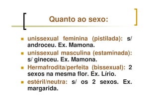 Quanto ao sexo:
unissexual feminina (pistilada): s/
androceu. Ex. Mamona.
unissexual masculina (estaminada):
s/ gineceu. Ex. Mamona.
Hermafrodita/perfeita (bissexual): 2
sexos na mesma flor. Ex. Lírio.
estéril/neutra: s/ os 2 sexos. Ex.
margarida.
 