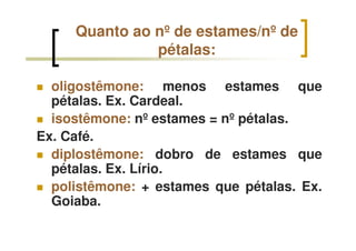 Quanto ao nº de estames/nº de
pétalas:
oligostêmone: menos estames que
pétalas. Ex. Cardeal.
isostêmone: nº estames = nº pétalas.
Ex. Café.
diplostêmone: dobro de estames que
pétalas. Ex. Lírio.
polistêmone: + estames que pétalas. Ex.
Goiaba.
 