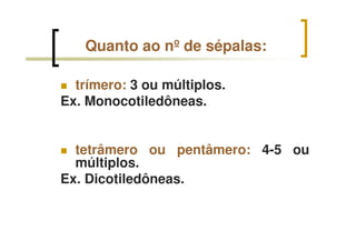 Quanto ao nº de sépalas:
trímero: 3 ou múltiplos.
Ex. Monocotiledôneas.
tetrâmero ou pentâmero: 4-5 ou
múltiplos.
Ex. Dicotiledôneas.
 