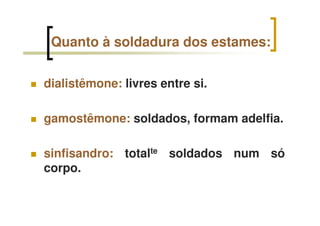 Quanto à soldadura dos estames:
dialistêmone: livres entre si.
gamostêmone: soldados, formam adelfia.
sinfisandro: totalte soldados num só
corpo.
 