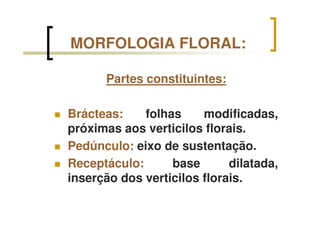 MORFOLOGIA FLORAL:
Partes constituintes:
Brácteas: folhas modificadas,
próximas aos verticilos florais.
Pedúnculo: eixo de sustentação.
Receptáculo: base dilatada,
inserção dos verticilos florais.
 