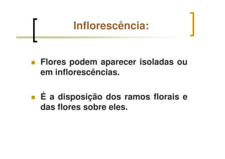 Inflorescência:
Flores podem aparecer isoladas ou
em inflorescências.
É a disposição dos ramos florais e
das flores sobre eles.
 