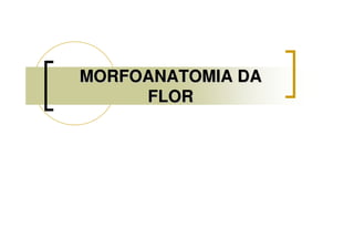MORFOANATOMIA DAMORFOANATOMIA DA
FLORFLOR
 