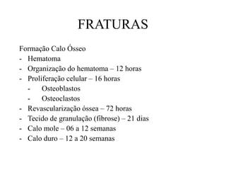 FRATURAS
Formação Calo Ósseo
- Hematoma
- Organização do hematoma – 12 horas
- Proliferação celular – 16 horas
- Osteoblastos
- Osteoclastos
- Revascularização óssea – 72 horas
- Tecido de granulação (fibrose) – 21 dias
- Calo mole – 06 a 12 semanas
- Calo duro – 12 a 20 semanas
 