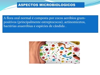 A flora oral normal é composta por cocos aeróbios gram-
positivos (principalmente estreptococos), actinomicetos,
bactérias anaeróbias e espécies de cândida .
ASPECTOS MICROBIOLOGICOS
 