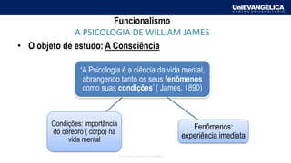 Associação Educativa Evangélica
Funcionalismo
A PSICOLOGIA DE WILLIAM JAMES
• O objeto de estudo: A Consciência
‘A Psicologia é a ciência da vida mental,
abrangendo tanto os seus fenômenos
como suas condições’ ( James, 1890)
Condições: importância
do cérebro ( corpo) na
vida mental
Fenômenos:
experiência imediata
 