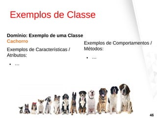 Exemplos de Classe
Domínio: Exemplo de uma Classe
Cachorro
Exemplos de Características /
Atributos:
● …
Exemplos de Comportamentos /
Métodos:
● …
46
 