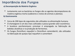 Importância dos Fungos
a) Decomposição da Matéria Orgânica
 Juntamente com as bactérias os fungos são os agentes decompositores da
matéria orgânica morta (cadáveres e restos de animais e plantas).
b) Gastronomia
 Cerca de 200 tipos de cogumelos são utilizados na alimentação humana.
 O champignon é um dos mais cultivados e possui grande valor econômico.
 A levedura saccharomyces cerevisae é empregada na fabricação de
bebidas alcoólicas e na produção de fermentos.
 Os fungos Penicillium roquefort e Penicillium camembertii, são utilizados
na fabricação de queijos tipo roquefort e camembert
 