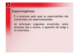 Espermiogênese
 É o processo pelo qual as espermátides são
 convertidas em espermatozóides
 As principais organelas envolvidas neste
 processo são o núcleo, o aparelho de Golgi e
 os centríolos.
 