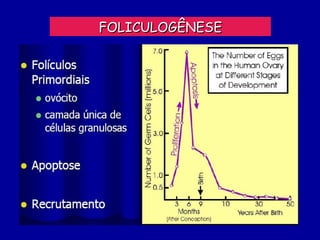 FOLICULOGÊNESE
 