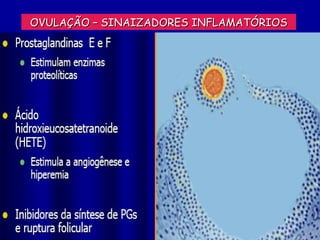 OVULAÇÃO – SINAIZADORES INFLAMATÓRIOS
 