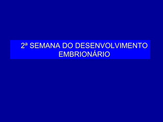 2ª SEMANA DO DESENVOLVIMENTO
         EMBRIONÁRIO
 
