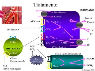 Tratamento
Vaso
Sangüíneo
GASTRINA
HISTAMINA
Célula
Enterocromafin
CCK2
ACh
(nervo colinérgico)
AChM
M3
CCK2
H2
EP3
ACh
+
[Ca2+]i
Potássio
Cloreto
C20
Fatty Acid
PGE2
PGI2
K+
Cl-
ATPase
Célula Parietal
K+
H+
+
-
AMPc
Ca2+
EP3
Musc.
Célula Epitelial Superficial
+
MUCO
HCO3
-
D. Damiani 2003
Cloreto
Bicarbonato
ESTÔMAGO
 