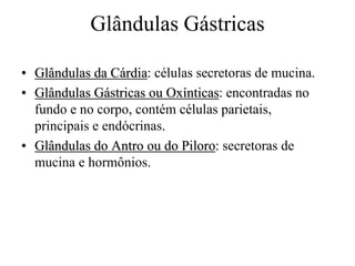Glândulas Gástricas
• Glândulas da Cárdia: células secretoras de mucina.
• Glândulas Gástricas ou Oxínticas: encontradas no
fundo e no corpo, contém células parietais,
principais e endócrinas.
• Glândulas do Antro ou do Piloro: secretoras de
mucina e hormônios.
 