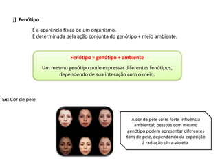 j) Fenótipo
É a aparência física de um organismo.
É determinada pela ação conjunta do genótipo + meio ambiente.
Ex: Cor de pele
Fenótipo = genótipo + ambiente
Um mesmo genótipo pode expressar diferentes fenótipos,
dependendo de sua interação com o meio.
A cor da pele sofre forte influência
ambiental; pessoas com mesmo
genótipo podem apresentar diferentes
tons de pele, dependendo da exposição
à radiação ultra-violeta.
 