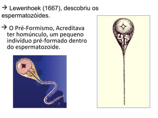  O Pré-Formismo, Acreditava
ter homúnculo, um pequeno
indivíduo pré-formado dentro
do espermatozoide.
 Lewenhoek (1667), descobriu os
espermatozóides.
 