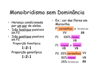 Monoibridismo sem Dominância
• Herança condicionada
por um par de alelos.
• Três fenótipos possíveis
em F2.
• Três genótipos possíveis
em F2.
Proporção fenotípica
1:2:1
Proporção genotípica
1:2:1
• Ex.: cor das flores em
Maravilha.
P vermelhas x brancas
F1 100% rosas
F1 rosas x rosas
F2 25% vermelhas
50% rosas
25% brancas
VV BB
VB
VB VB
VV
VB
BB
 