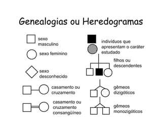 Genealogias ou Heredogramas
sexo
masculino
sexo feminino
sexo
desconhecido
casamento ou
cruzamento
casamento ou
cruzamento
consangüíneo
indivíduos que
apresentam o caráter
estudado
filhos ou
descendentes
gêmeos
dizigóticos
gêmeos
monozigóticos
 
