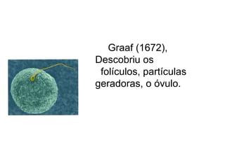  Graaf (1672),
Descobriu os
folículos, partículas
geradoras, o óvulo.
 