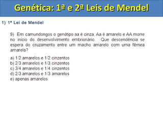 1) 1ª Lei de Mendel
Genética: 1ª e 2ª Leis de MendelGenética: 1ª e 2ª Leis de Mendel
 
