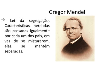 Gregor Mendel
 Lei da segregação,
Características herdadas
são passadas igualmente
por cada um dos pais, em
vez de se misturarem,
elas se mantêm
separadas.
 