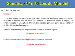 1) 2ª Lei de Mendel
Exercícios
1) Em uma espécie de planta a cor amarela da semente é dominante sobre a cor verde,
enquanto a textura lisa da casca da semente é dominante sobre a rugosa. Da
autofecundação de uma planta dihíbrida (heterozigota para dois pares de genes) foram
obtidas 800 plantas. Pergunta-se:
a) Qual o número esperado de plantas com sementes verdes e rugosas?
b) Qual o número esperado de plantas com sementes amarela?
Genética: 1ª e 2ª Leis de MendelGenética: 1ª e 2ª Leis de Mendel
Resposta: 50 sementes
Resposta: 600 sementes
 