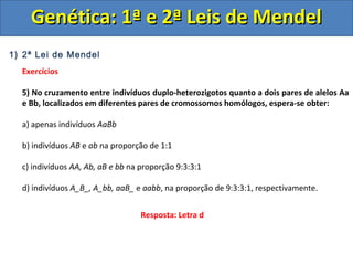 1) 2ª Lei de Mendel
Exercícios
5) No cruzamento entre indivíduos duplo-heterozigotos quanto a dois pares de alelos Aa
e Bb, localizados em diferentes pares de cromossomos homólogos, espera-se obter:
a) apenas indivíduos AaBb
b) indivíduos AB e ab na proporção de 1:1
c) indivíduos AA, Ab, aB e bb na proporção 9:3:3:1
d) indivíduos A_B_, A_bb, aaB_ e aabb, na proporção de 9:3:3:1, respectivamente.
Genética: 1ª e 2ª Leis de MendelGenética: 1ª e 2ª Leis de Mendel
Resposta: Letra d
 