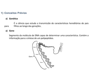 1) Conceitos Prévios
a) Genética
É a ciência que estuda a transmissão de características hereditárias de pais
para filhos ao longo das gerações.
a) Gene
Segmento da molécula de DNA capaz de determinar uma característica. Contém a
informação para a síntese de um polipeptídeo.
 