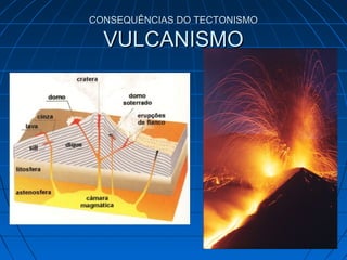 CONSEQUÊNCIAS DO TECTONISMOCONSEQUÊNCIAS DO TECTONISMO
VULCANISMOVULCANISMO
 