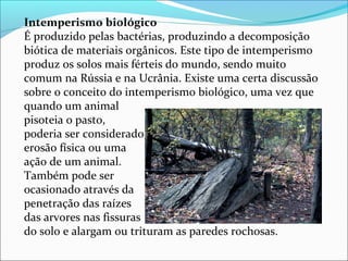 Intemperismo biológico
É produzido pelas bactérias, produzindo a decomposição 
biótica de materiais orgânicos. Este tipo de intemperismo 
produz os solos mais férteis do mundo, sendo muito 
comum na Rússia e na Ucrânia. Existe uma certa discussão 
sobre o conceito do intemperismo biológico, uma vez que 
quando um animal 
pisoteia o pasto, 
poderia ser considerado 
erosão física ou uma 
ação de um animal. 
Também pode ser 
ocasionado através da 
penetração das raízes 
das arvores nas fissuras 
do solo e alargam ou trituram as paredes rochosas.
 