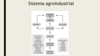 Sistema agroindustrial
 