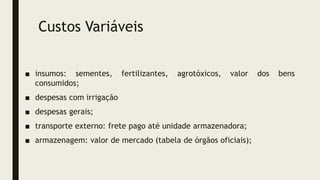 Custos Variáveis
■ insumos: sementes, fertilizantes, agrotóxicos, valor dos bens
consumidos;
■ despesas com irrigação
■ despesas gerais;
■ transporte externo: frete pago até unidade armazenadora;
■ armazenagem: valor de mercado (tabela de órgãos oficiais);
 