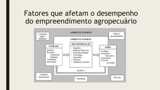 Fatores que afetam o desempenho
do empreendimento agropecuário
 