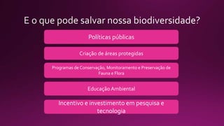 Criação de áreas protegidas
Programas de Conservação, Monitoramento e Preservação de
Fauna e Flora
EducaçãoAmbiental
Políticas públicas
Incentivo e investimento em pesquisa e
tecnologia
 