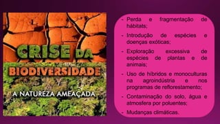 - Perda e fragmentação de
hábitats;
- Introdução de espécies e
doenças exóticas;
- Exploração excessiva de
espécies de plantas e de
animais;
- Uso de híbridos e monoculturas
na agroindústria e nos
programas de reflorestamento;
- Contaminação do solo, água e
atmosfera por poluentes;
- Mudanças climáticas.
 