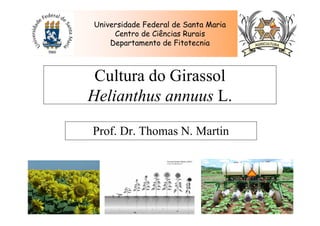 Universidade Federal de Santa Maria
Centro de Ciências Rurais
Departamento de Fitotecnia
Cultura do Girassol
Helianthus annuus L.
Prof. Dr. Thomas N. Martin
 