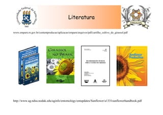 Literatura
www.emparn.rn.gov.br/contentproducao/aplicacao/emparn/arquivos/pdf/cartilha_cultivo_do_girassol.pdf
http://www.ag.ndsu.nodak.edu/aginfo/entomology/entupdates/Sunflower/a1331sunflowerhandbook.pdf
 