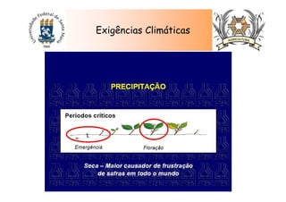 Exigências Climáticas
 