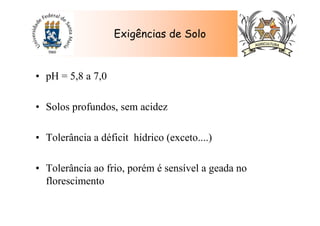 • pH = 5,8 a 7,0
• Solos profundos, sem acidez
• Tolerância a déficit hídrico (exceto....)
• Tolerância ao frio, porém é sensível a geada no
florescimento
Exigências de Solo
 