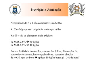 Nutrição e Adubação
Necessidade de N e P são comparáveis ao Milho
K, Ca e Mg – possui exigência maior que milho
K e N = são os elementos mais exigidos
Se M.O. 2,5% 80 kg/ha
Se M.O. 5,5% 40 kg/ha
Boro – fertilidade dos óvulos, clorose das folhas, distrorções do
ponto de cresimento, hastes quebradiças, sementes chochas.
Se <0,30 ppm de boro aplicar 10 kg/ha borax (11,3% de boro)
 
