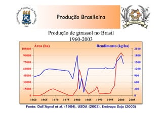 Produção de girassol no Brasil
1960-2003
0
15000
30000
45000
60000
75000
90000
105000
1960 1965 1970 1975 1980 1985 1990 1995 2000 2005
0
300
600
900
1200
1500
1800
2100
Área (ha) Rendimento (kg/ha)
Fonte: Dall’Agnol et al. (1984), USDA (2003), Embrapa Soja (2003)
Produção Brasileira
 