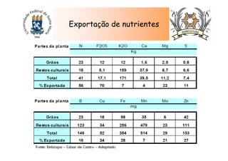 Exportação de nutrientes
 