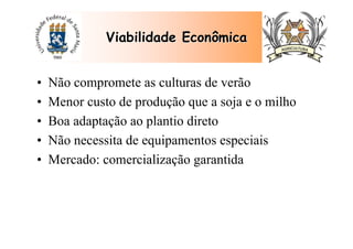 • Não compromete as culturas de verão
• Menor custo de produção que a soja e o milho
• Boa adaptação ao plantio direto
• Não necessita de equipamentos especiais
• Mercado: comercialização garantida
Viabilidade EconômicaViabilidade Econômica
 
