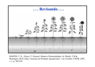 MARTIN, T. N. ; Sluszz, T. Girassol: Manejo e Potencialidades. In: Martin, T.M &
Montagner, M.M. (Org.). Sistemas de Produção Agropecuária. 1 ed. Curitiba: UTFPR, 2007,
v. 1, p. 309-329.
. . . Revisando . . .
 