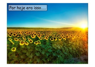 Por hoje era isso.....
 